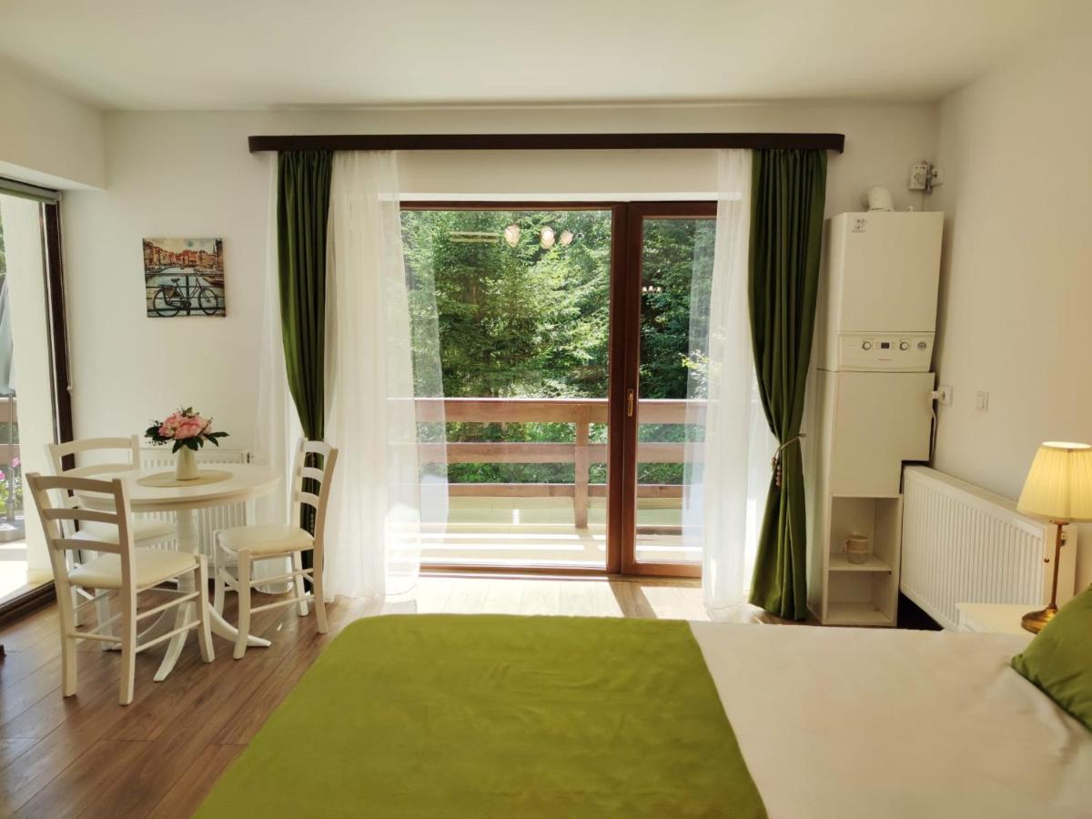 Green Studio Predeal Exterior foto