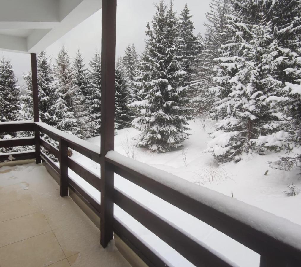 Green Studio Predeal Exterior foto